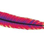 Apache Weinre Avatar Apache Weinre