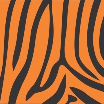 AssetTiger Avatar AssetTiger