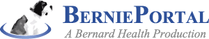 Avatar BerniePortal Avatar BerniePortal