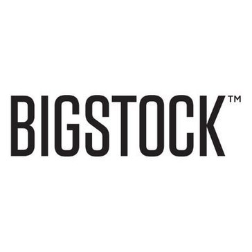 Bigstock Avatar Bigstock