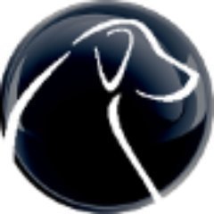 Avatar Black Lab Avatar Black Lab