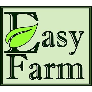 EasyFarm Avatar EasyFarm