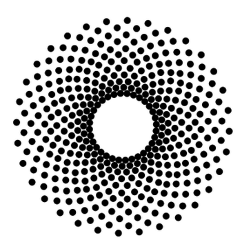 Eulerian Avatar Eulerian