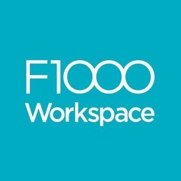 Avatar F1000 Workspace Avatar F1000 Workspace