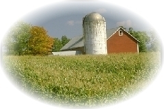 Farm Biz Avatar Farm Biz