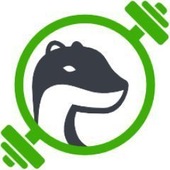 Fit Ferret Avatar Fit Ferret