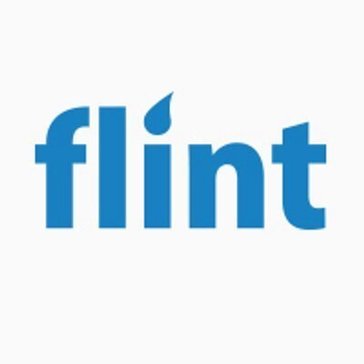 Flint App Avatar Flint App