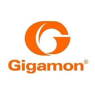 GigaSMART Avatar GigaSMART
