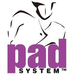 PAD Pattern Avatar PAD Pattern