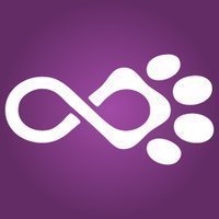 Pawfinity Avatar Pawfinity