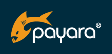 Payara Server Avatar Payara Server