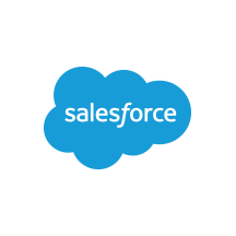 Salesforce ADO.NET Provider Avatar Salesforce ADO.NET Provider