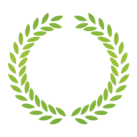 Salus Pro Avatar Salus Pro