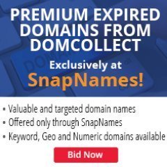 Snapnames Avatar Snapnames