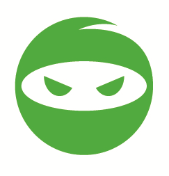 Talent Ninja Avatar Talent Ninja