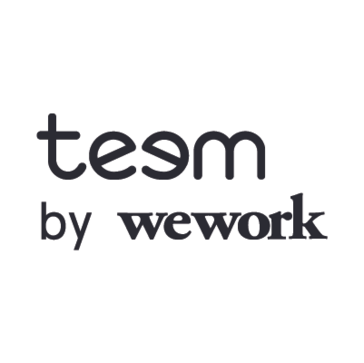 Teem Avatar Teem
