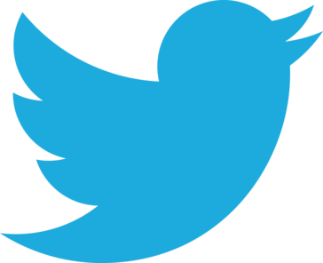 Twitter API Avatar Twitter API