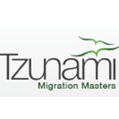 Tzunami Avatar Tzunami