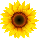 VideoPsalm Avatar VideoPsalm