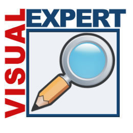 Visual Expert Avatar Visual Expert