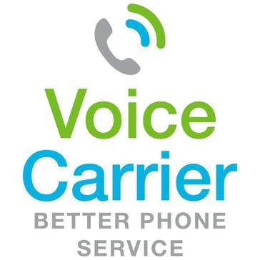 Voice Carrier Connect Avatar Voice Carrier Connect