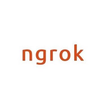 ngrok Avatar ngrok